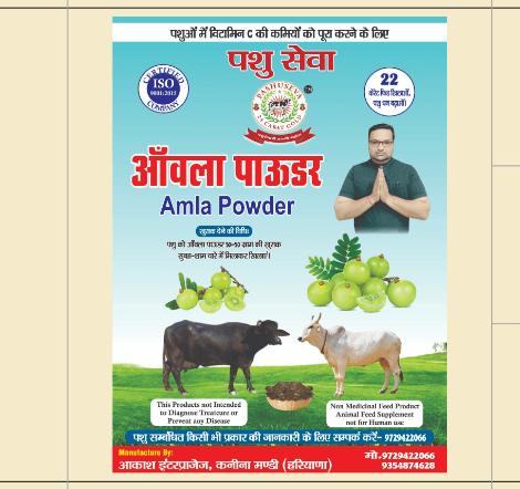 Satvik Amla Powder