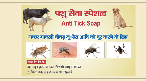 आयुर्वेदिक साबुन